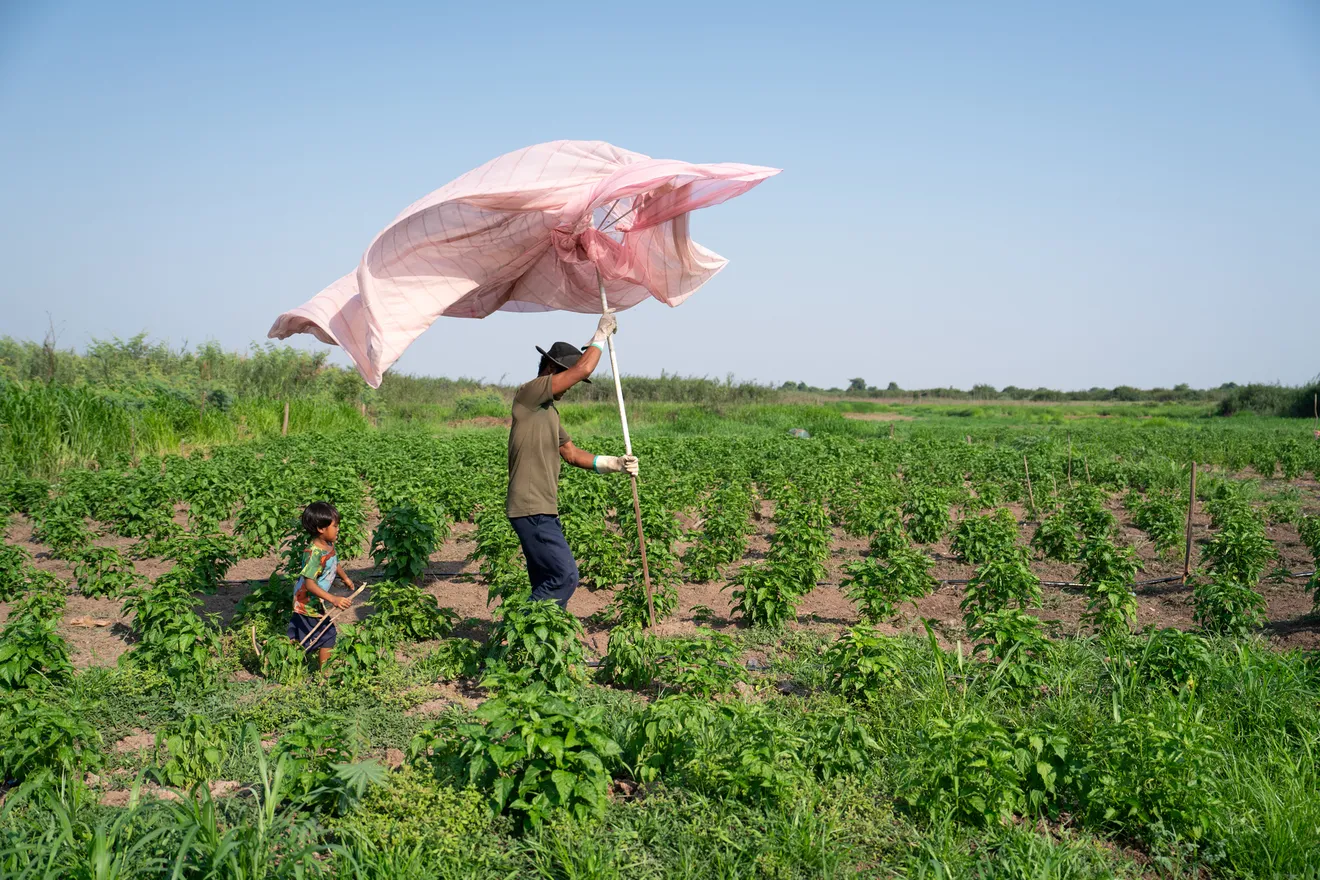 Kong Sameun Portrait