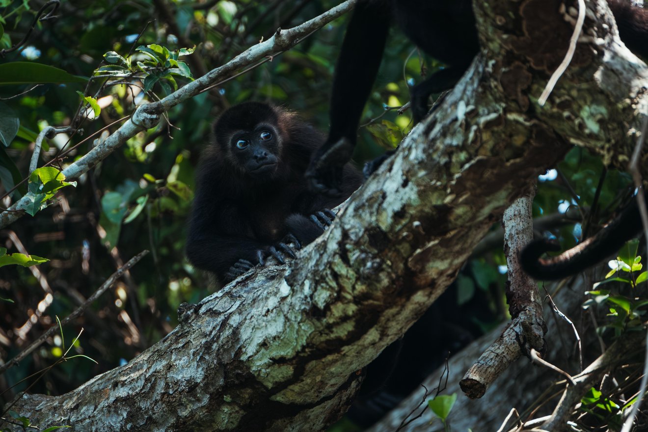 1266_Honduras_F&F_Fairpicture926