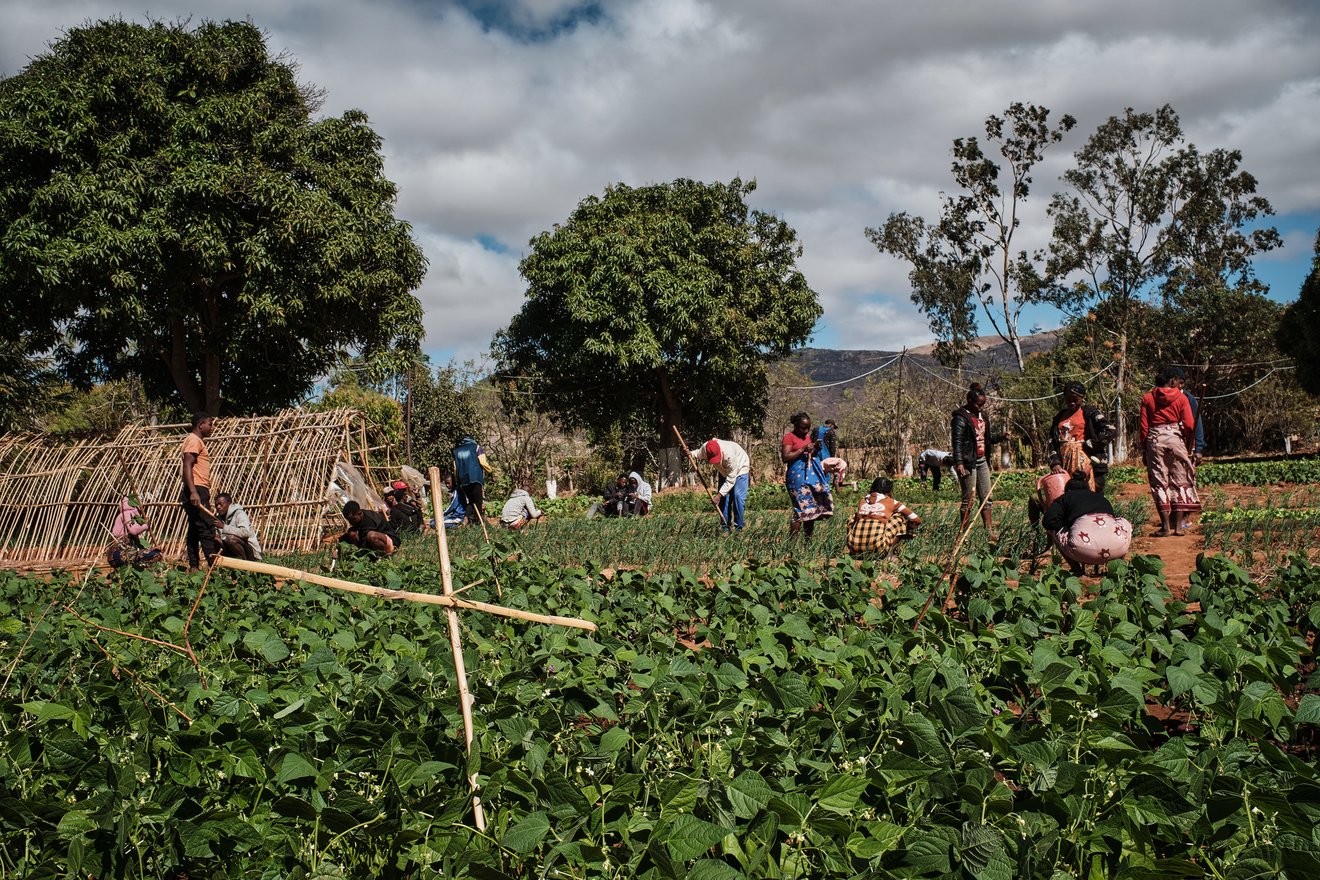 1319_Madagascar_Fairpicture_261