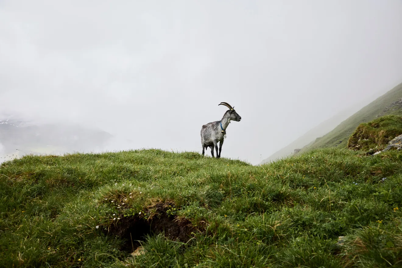1426 Switzerland Fairpicture 0057
