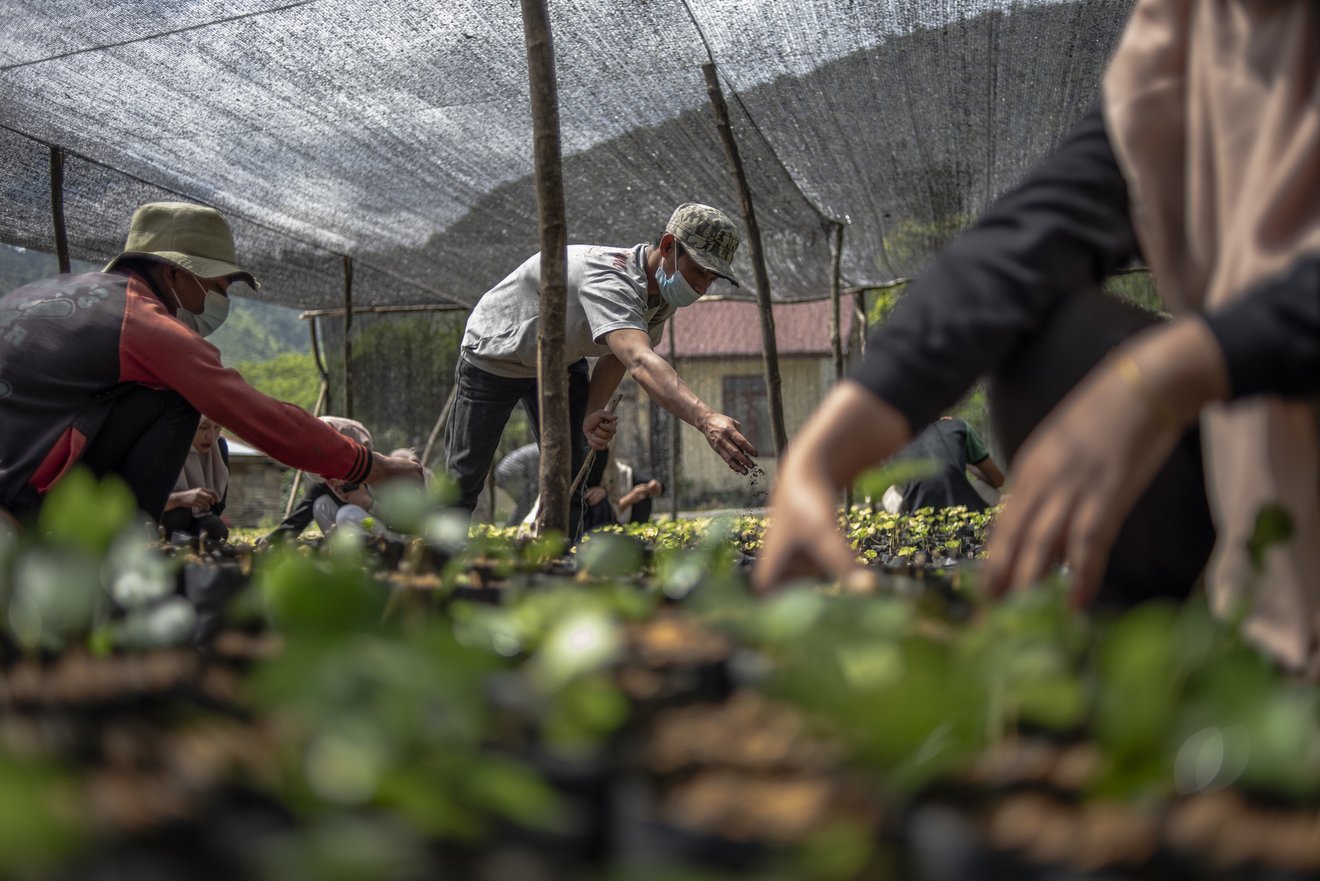 210329_Fairtrade-Deutschland-Indonesia_Fairpicture_017