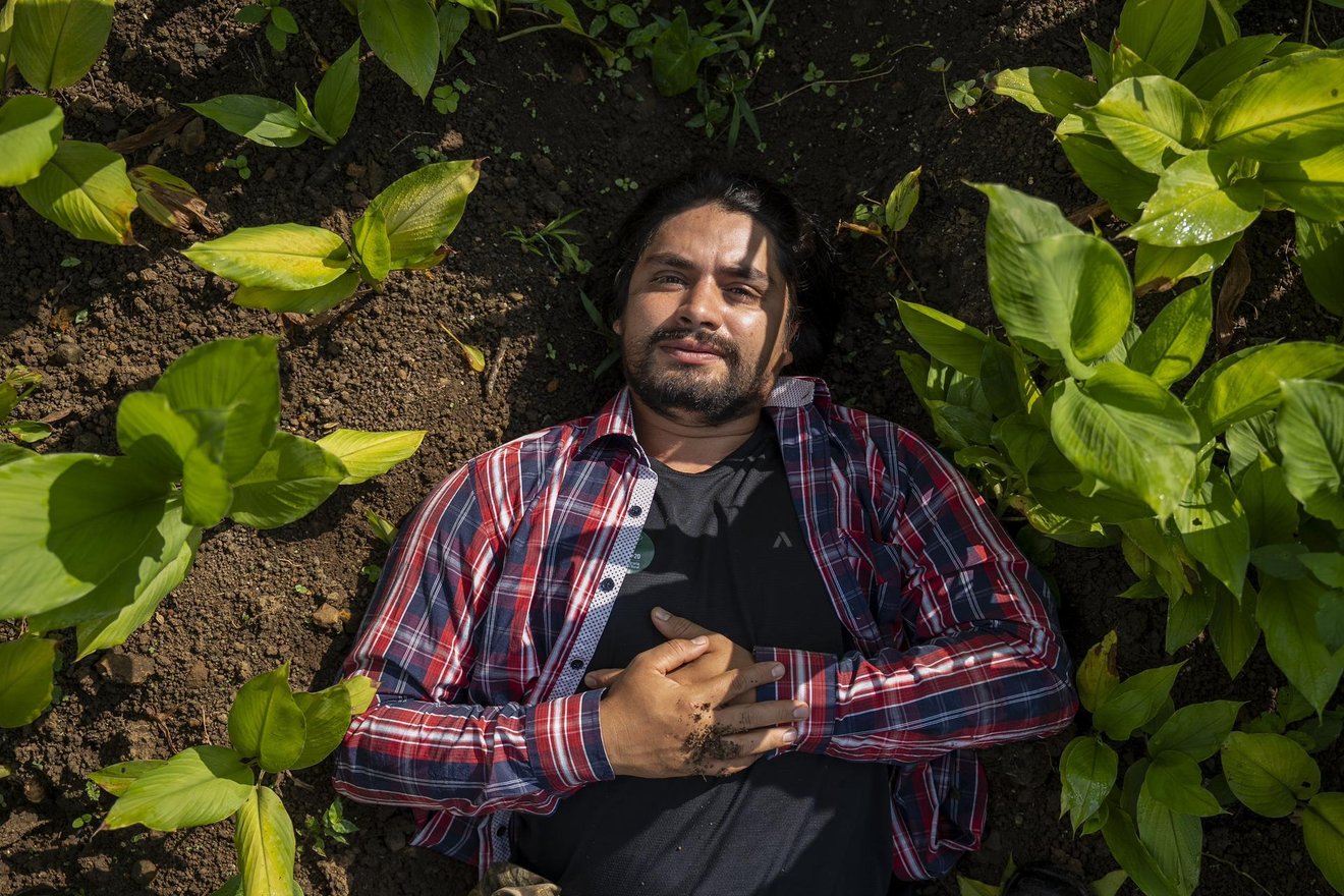 Manuel Alejandro Suárez, member of Network of Agroecological Farmers' Markets in Valle del Cauca, poses for a portrait in a turmeric crop in Guacarí, Colombia, on May 7, 2026.