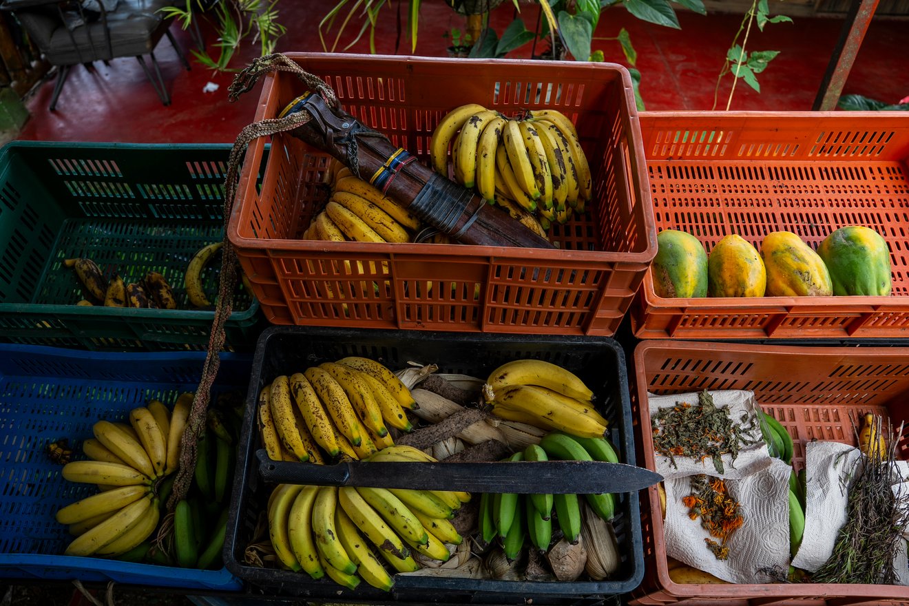 Baskets with bananas, papayas and a machete at Cristian Quinayas' farm in Guacarí, Valle del Cauca department, Colombia, on May 7, 2026.