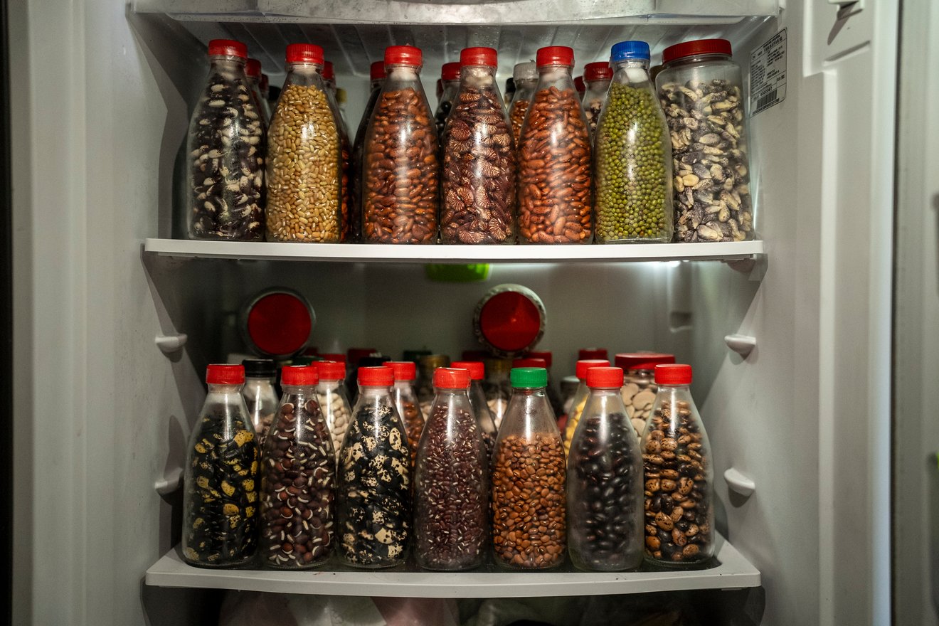 A collection of native beans and seeds inside Francenith Agudelo's fridge in Cali, Valle del Cauca department, Colombia, on May 13, 2025.