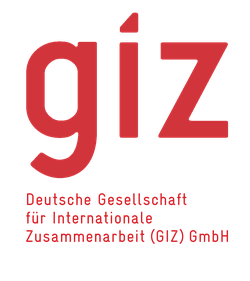 logo_giz